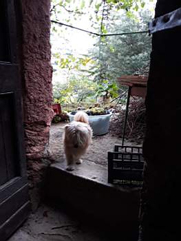 11- 2019-09-21 at 20.42.18.jpeg